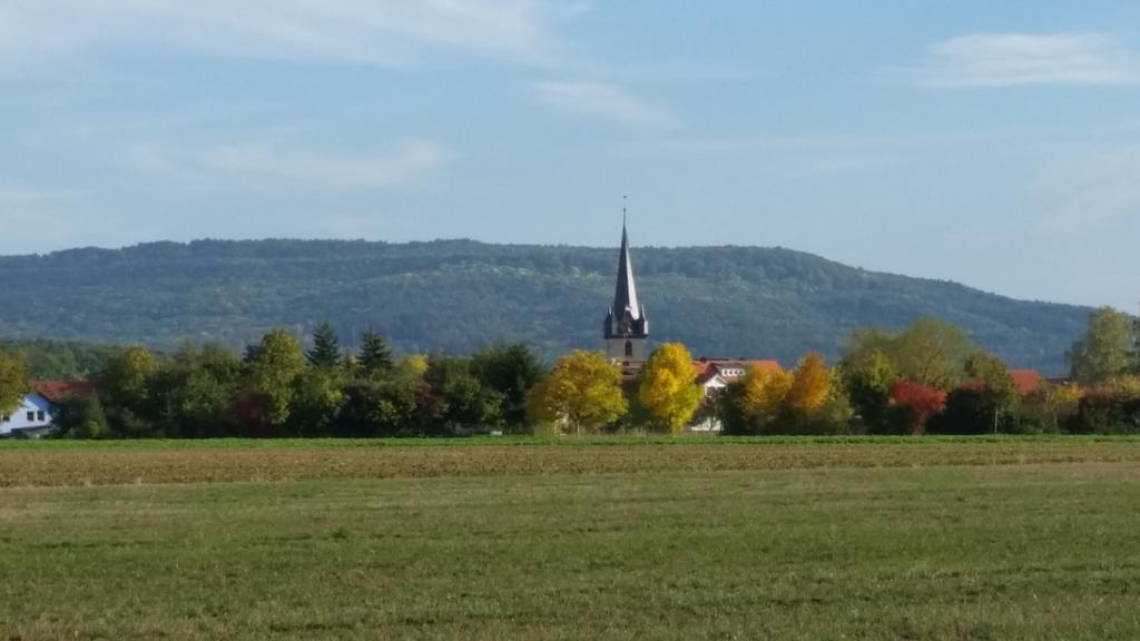 Hotel Luisenhof Geisfeld  Exteriér fotografie